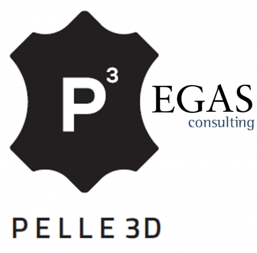 EGAS Consulting logo