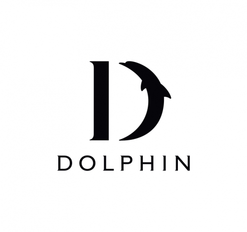 DOLPHIN SOLUTIONS LTD logo