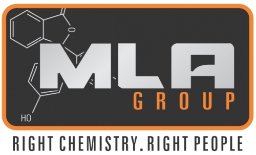 MLA Industries Private Limited logo