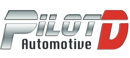 PILOTD AUTOMOTIVE (NINGBO) CO.,LTD logo