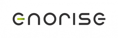 ENORISE logo