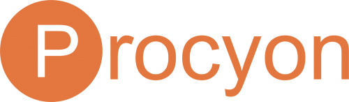 Procyon TechSolutions Pvt.Ltd. logo