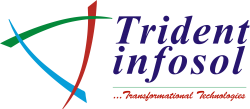 Trident Infosol Pvt Ltd logo