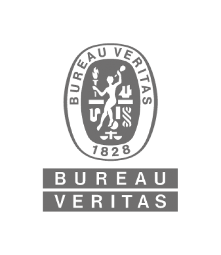 Bureau Veritas logo