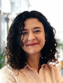 Gozde Tutuncuoglu - Wayne State University