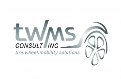 twms-consulting logo