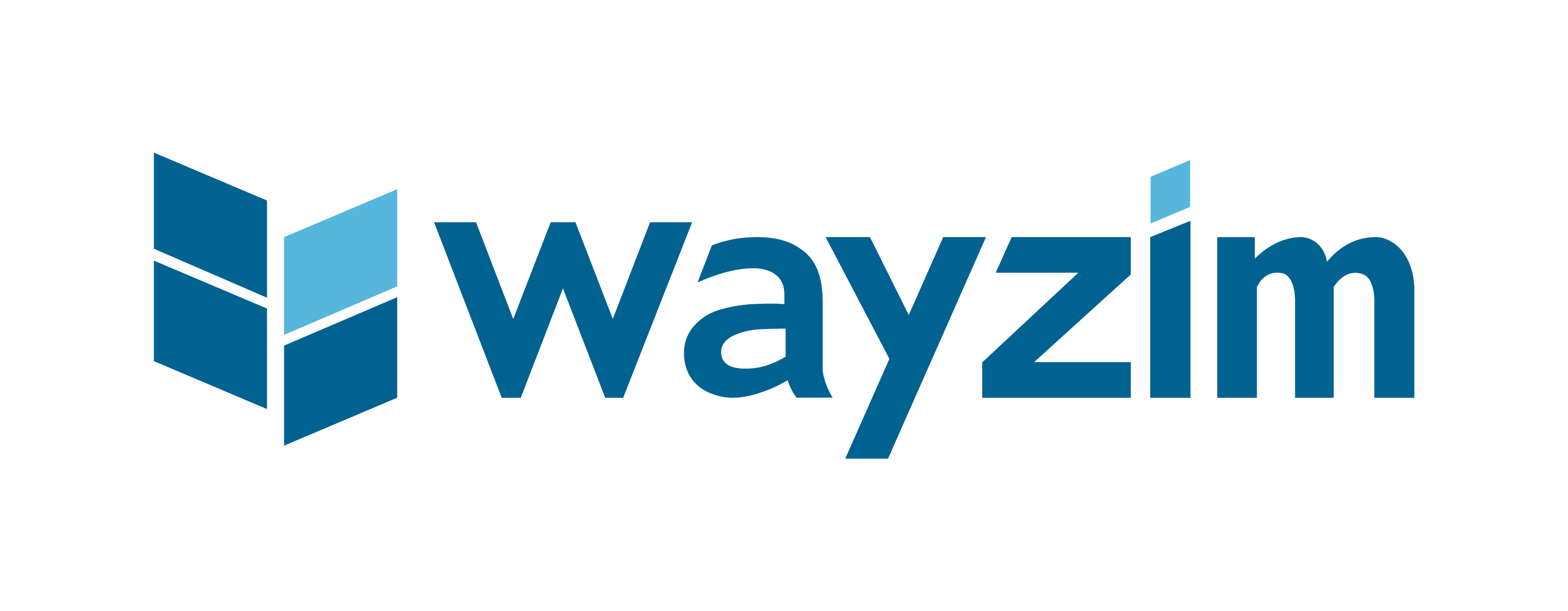 Wayzim Technology logo