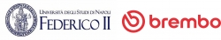 University of Naples Federico II logo