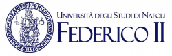 University of Naples Federico II